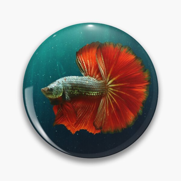 Item preview, BETTA FISH, HALF MOON BETTA designed and sold by Danicus666.