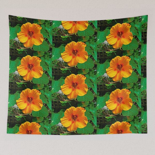 Item preview, Nasturtium designed and sold by Shulie1.