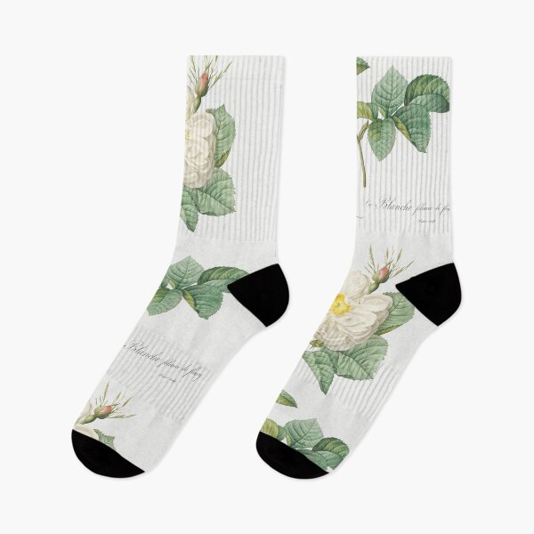 Item preview, Rosa x alba, White Leaf of Fleury - Pierre-Joseph Redouté. designed and sold by shencaben.