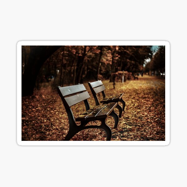 Benches on the park Sticker