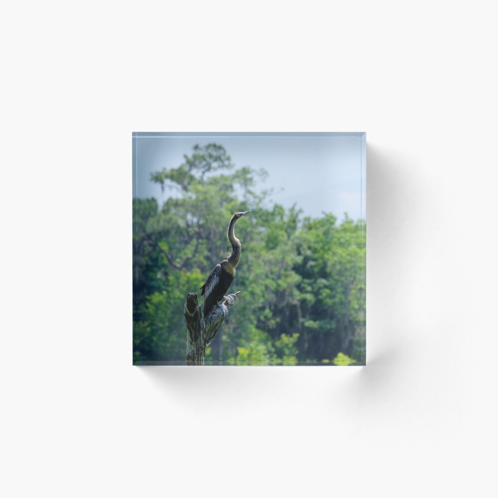 Item preview, Acrylic Block designed and sold by InhumanImaging.