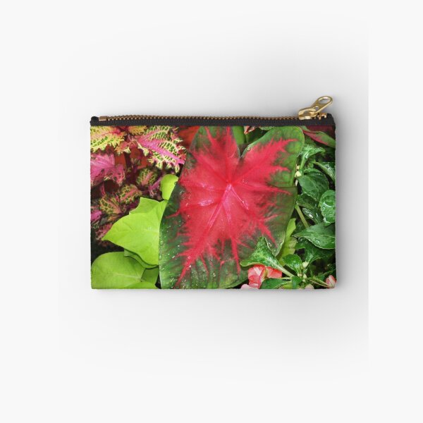 Item preview, Burst of Brilliance designed and sold by Claude Johnson.