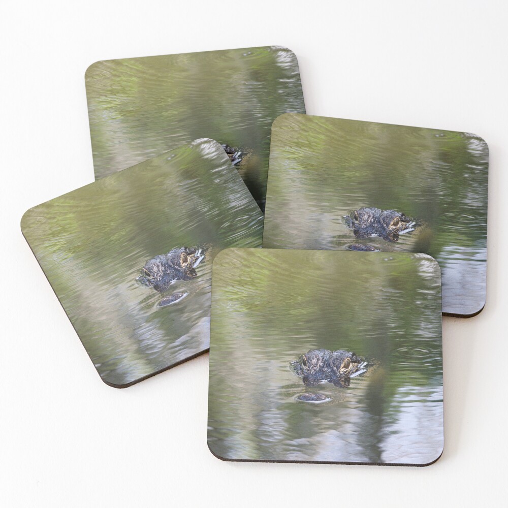 Item preview, Coasters (Set of 4) designed and sold by InhumanImaging.