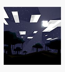 Minecraft Nightscape Photographic Print