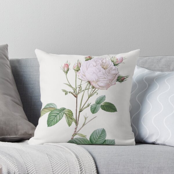 Item preview, Cabbage Rose White, Unique Blance - Pierre-Joseph Redouté. designed and sold by shencaben.