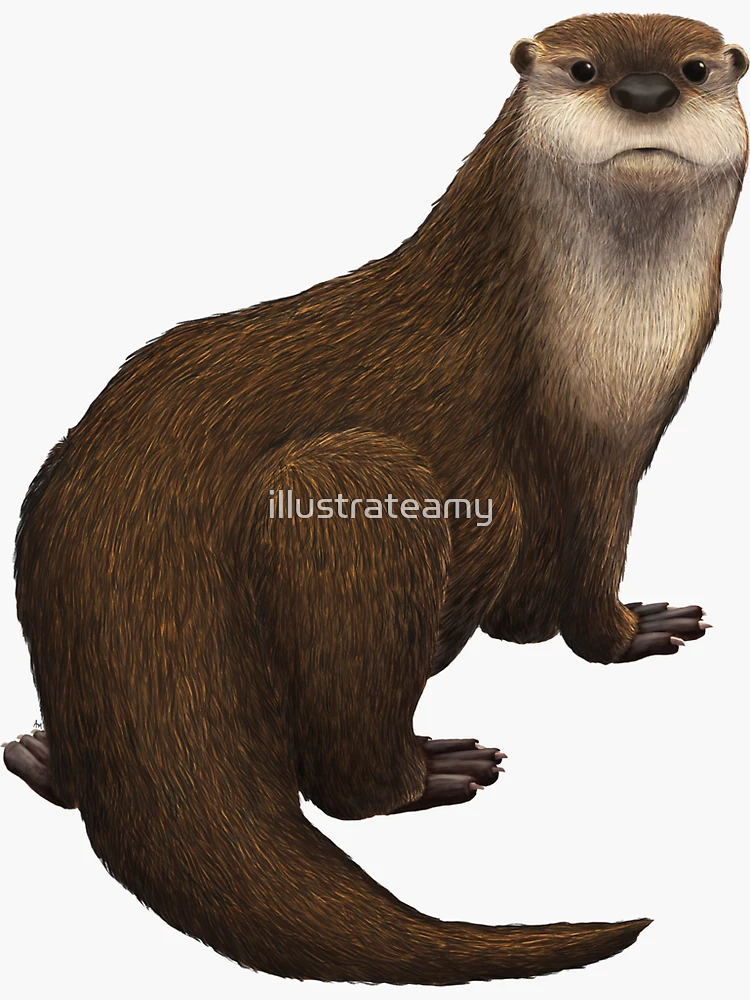 The Playful Otter: Sticker By Number