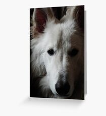White German Shepherd Greeting Card