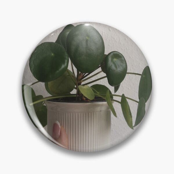 Item preview, pilea peperomioides plant designed and sold by Plantkins.