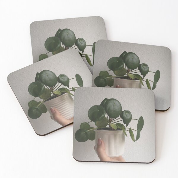 Item preview, pilea peperomioides plant designed and sold by Plantkins.