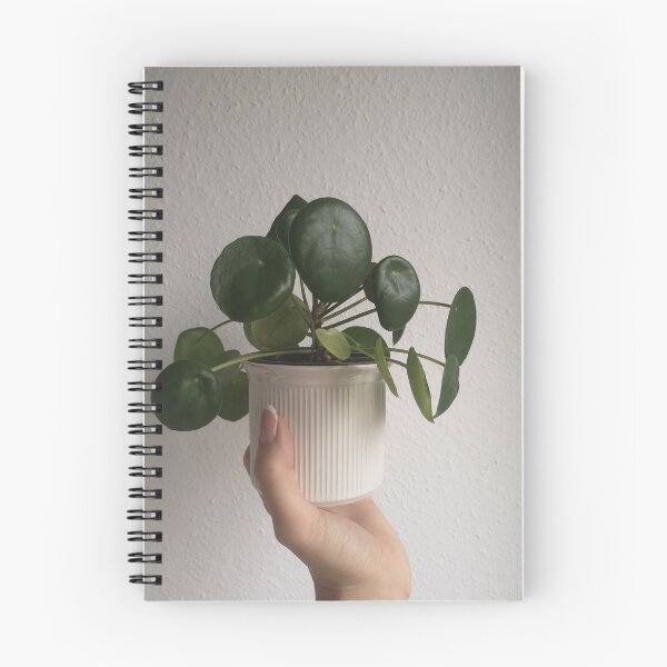 Item preview, pilea peperomioides plant designed and sold by Plantkins.