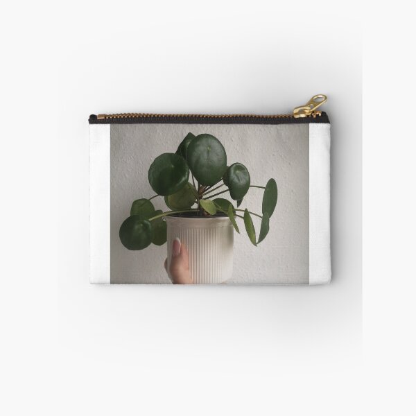 Item preview, pilea peperomioides plant designed and sold by Plantkins.