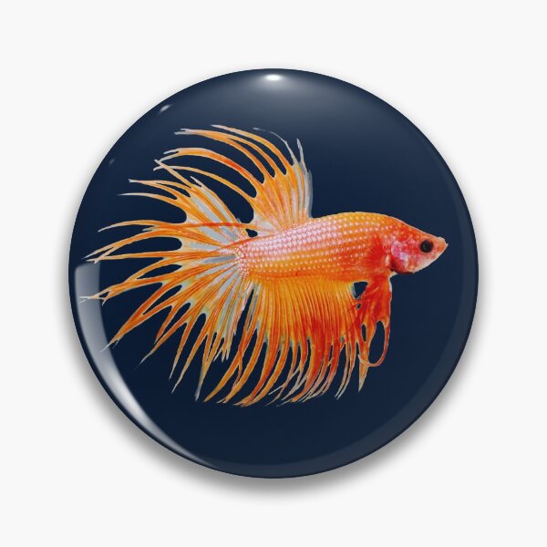Item preview, BETTA FISH, CROWN TAIL SIAMESE FIGHTING FISH designed and sold by Danicus666.