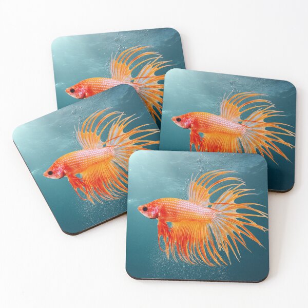 Item preview, BETTA FISH, CROWN TAIL SIAMESE FIGHTING FISH designed and sold by Danicus666.
