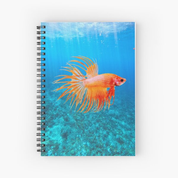 Betta Spiral Notebooks for Sale