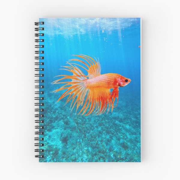 Artikelvorschau, BETTA FISCH, CROWN TAIL SIAMESISCHER KAMPFFISCH entworfen und verkauft von Danicus666.
