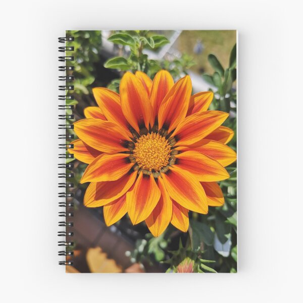 Item preview, Beautiful orange-red flower designed and sold by Plantkins.