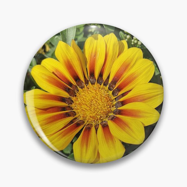 Item preview, Beautiful yellow-red flower designed and sold by Plantkins.