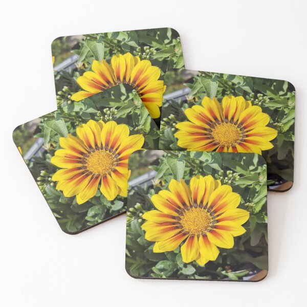 Item preview, Beautiful yellow-red flower designed and sold by Plantkins.