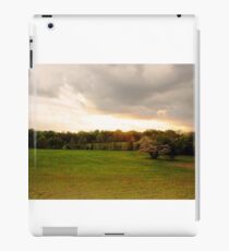 Shiloh Battlefield-33320 iPad Case/Skin