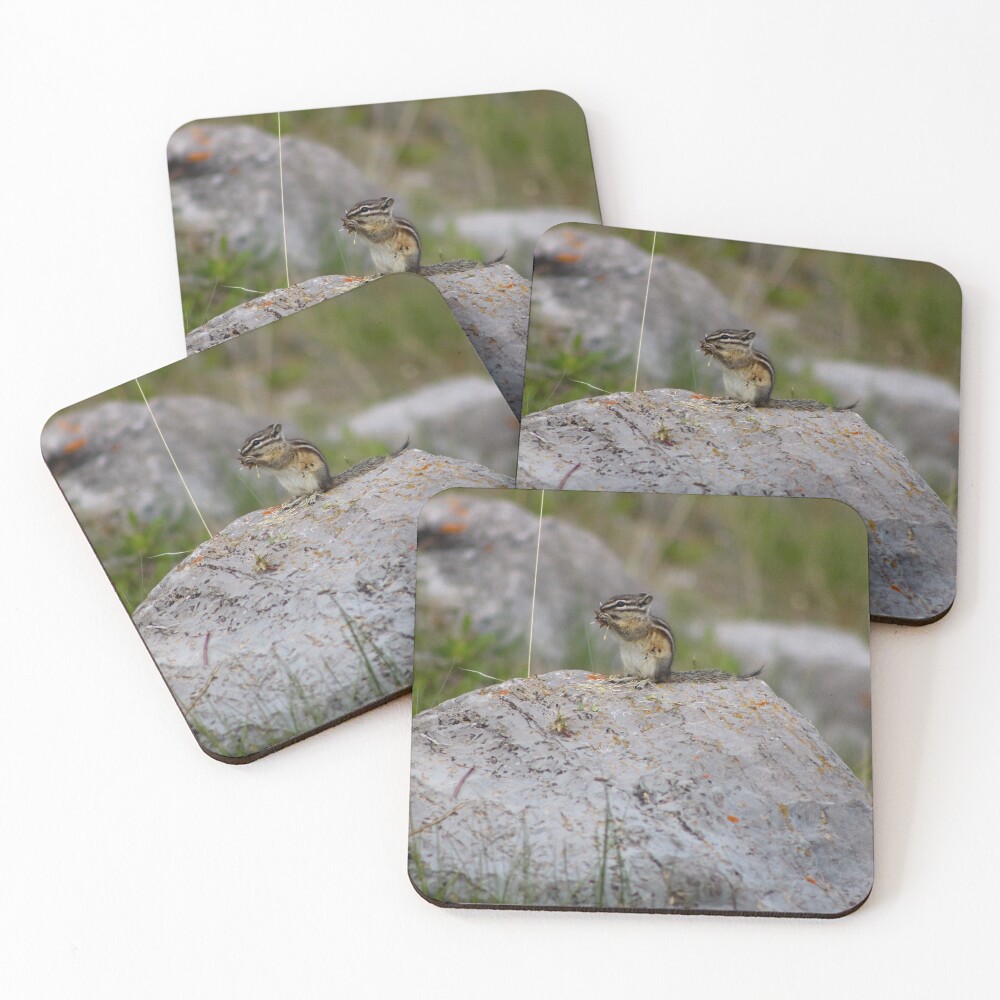 Item preview, Coasters (Set of 4) designed and sold by OhSnapPhoto.