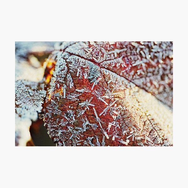 Frimas 3 Photographic Print