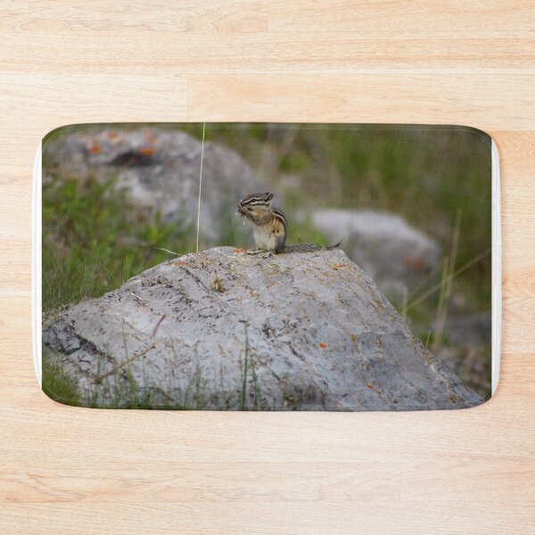 Item preview, Chipmunk designed and sold by OhSnapPhoto.
