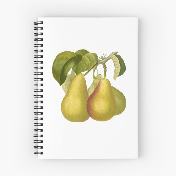 Item preview, Rustic Pears  designed and sold by VntgDesignCo.
