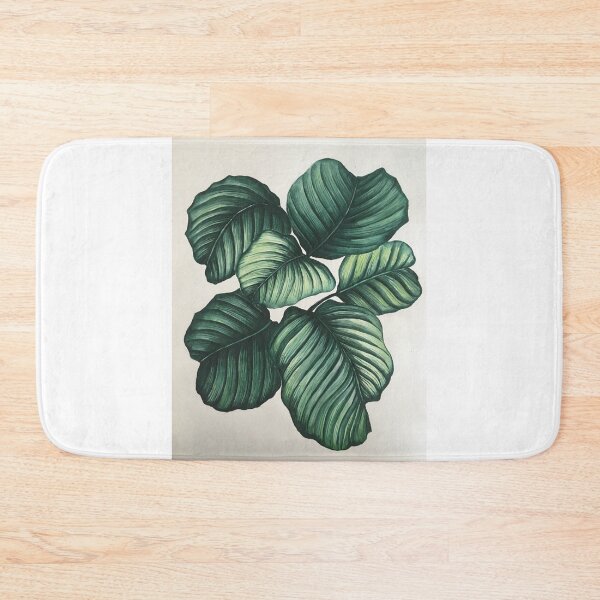 Item preview, Calathea Orbifolia designed and sold by artdeeanne.
