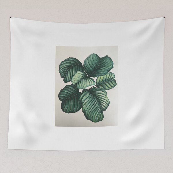 Item preview, Calathea Orbifolia designed and sold by artdeeanne.