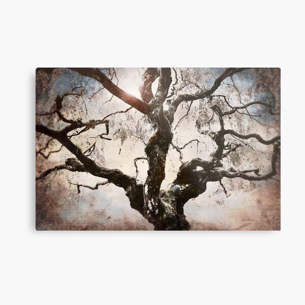 Metal Print