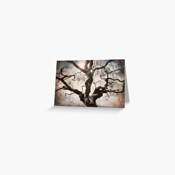 Greeting Card