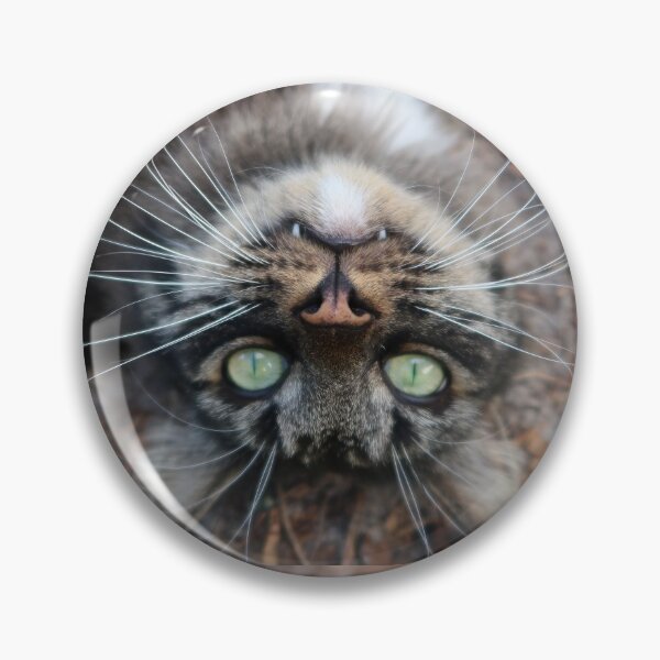 Item preview, Gato blanco y negro designed and sold by Crystaliii.
