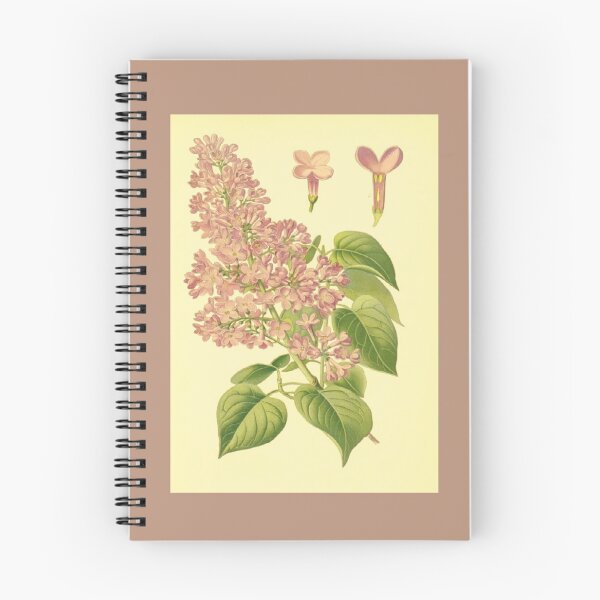 Item preview, Lilac flowers designed and sold by Pato-D.