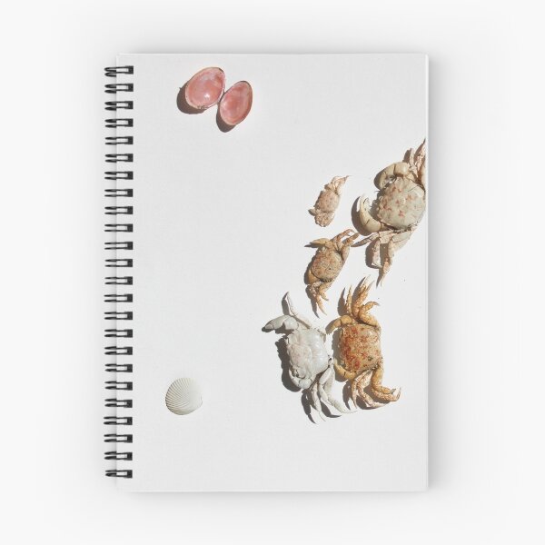 Item preview, Shells designed and sold by ellenmueller.