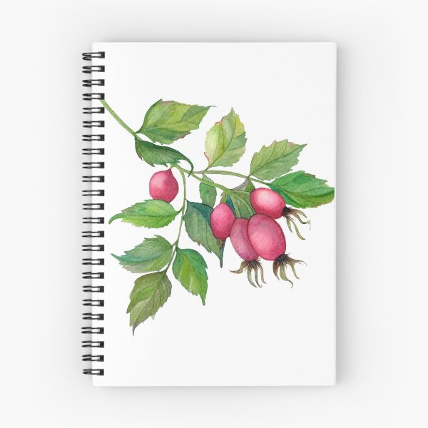 Item preview, Rosehip Botanical Illustration  designed and sold by NatashaMMenon.
