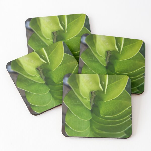Item preview, zeze green plants urban jungle designed and sold by Plantkins.
