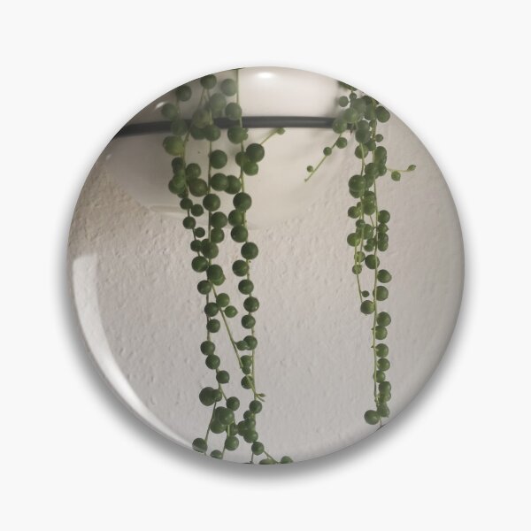 Item preview, string of pearls green plants urban jungle designed and sold by Plantkins.