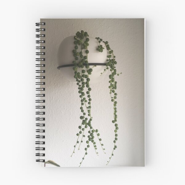 Item preview, string of pearls green plants urban jungle designed and sold by Plantkins.