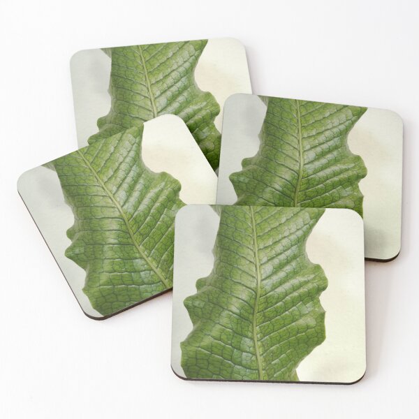 Item preview, fern green plants urban jungle designed and sold by Plantkins.