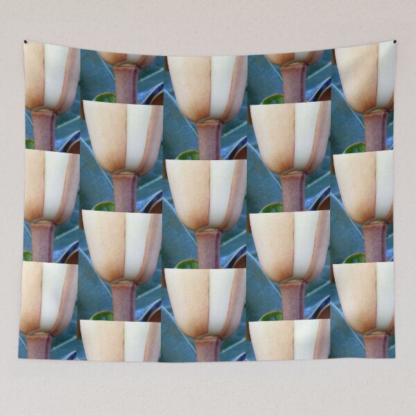 Item preview, Appealing designed and sold by Jean Gregory Evans.