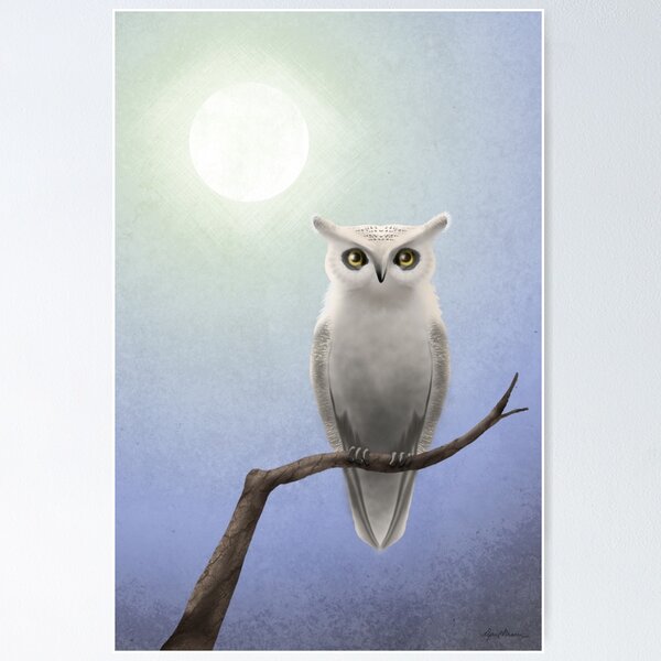 White Owl Poster