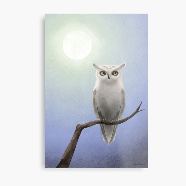 Metal Print
