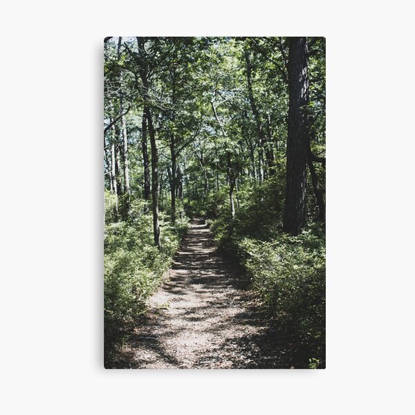 The Road Not Taken Forest Path Canvas Print