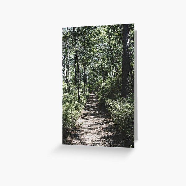The Road Not Taken Forest Path Greeting Card