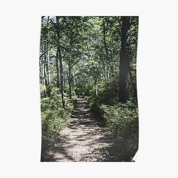 The Road Not Taken Forest Path Poster
