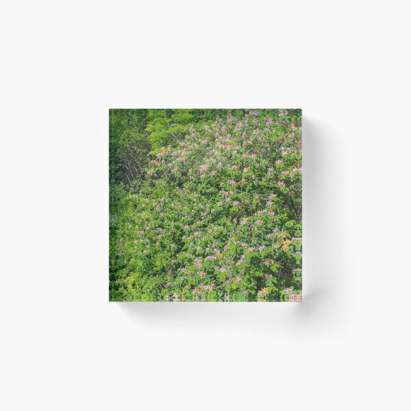 Item preview, Bushel of lovely designed and sold by theNewtiest.