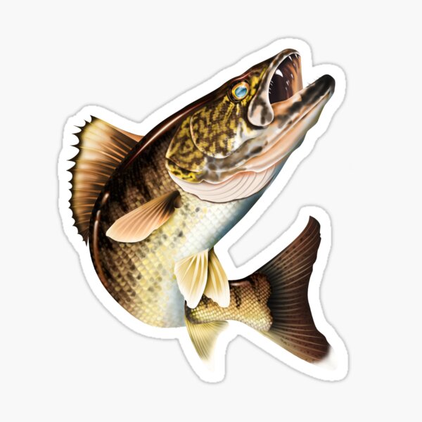 Walleye Fishing Stickers for Sale, Free US Shipping