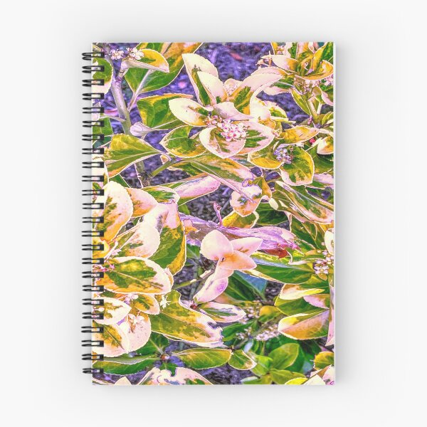 Artikelvorschau, Blumen und Blätter eines schönen Hauses in Portugal entworfen und verkauft von Silvina  Cupayolo.