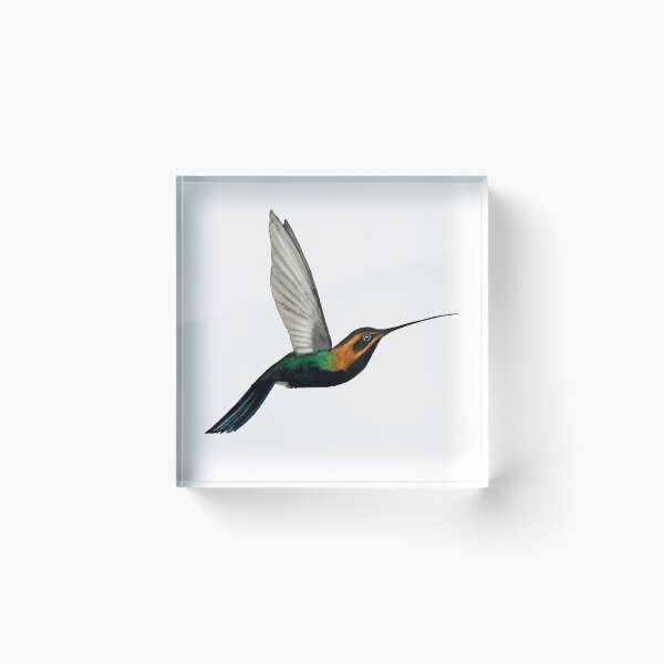 Item preview, Hermit Hummingbird designed and sold by Christiane Dobbins.
