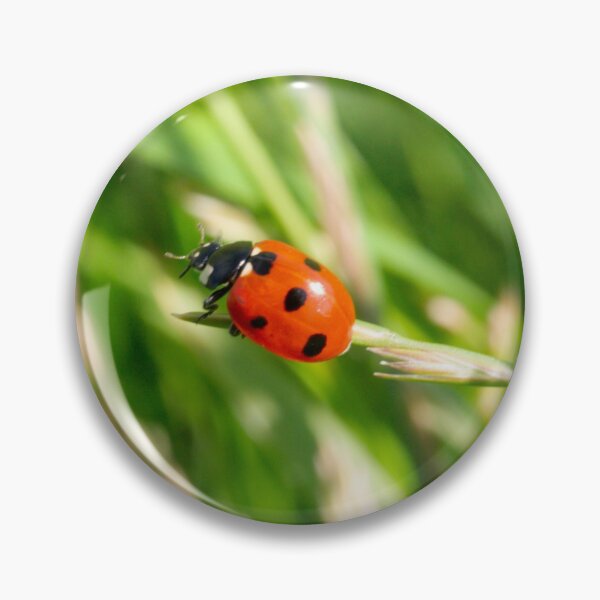 Item preview, Ladybird designed and sold by GingerMan2550.